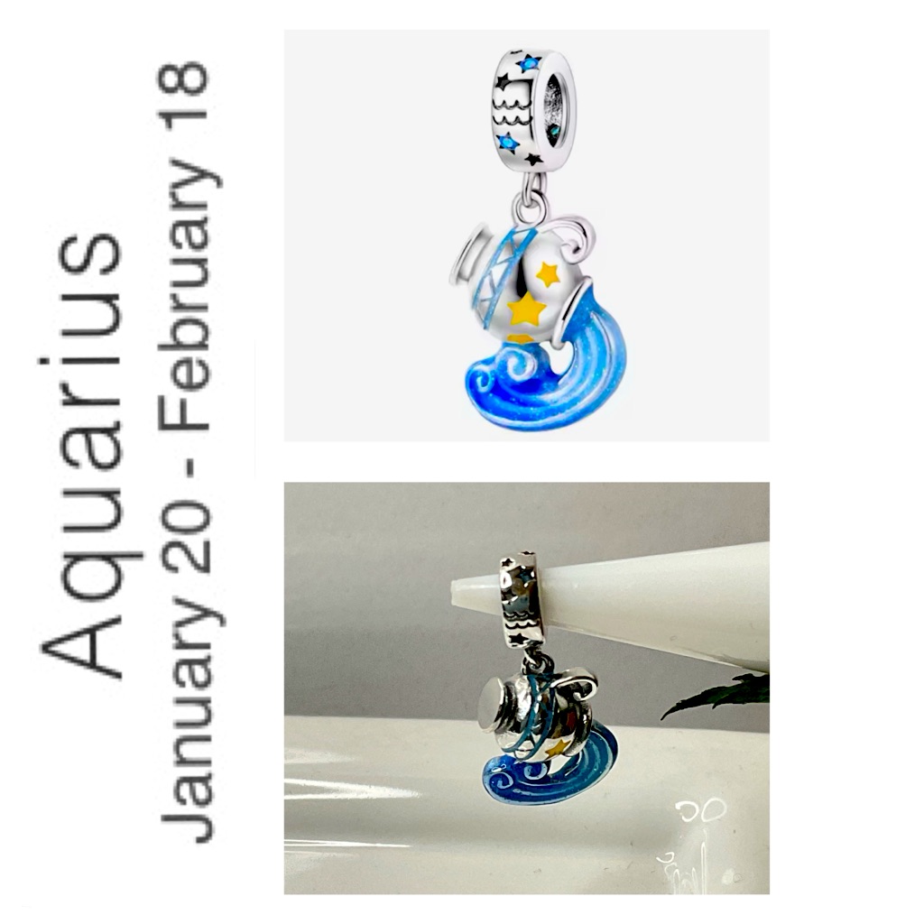 S925 Sterling Silver Aquarius Charm 40$